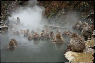 Monkey Mountain Park Jin Kun Da New Mexico.