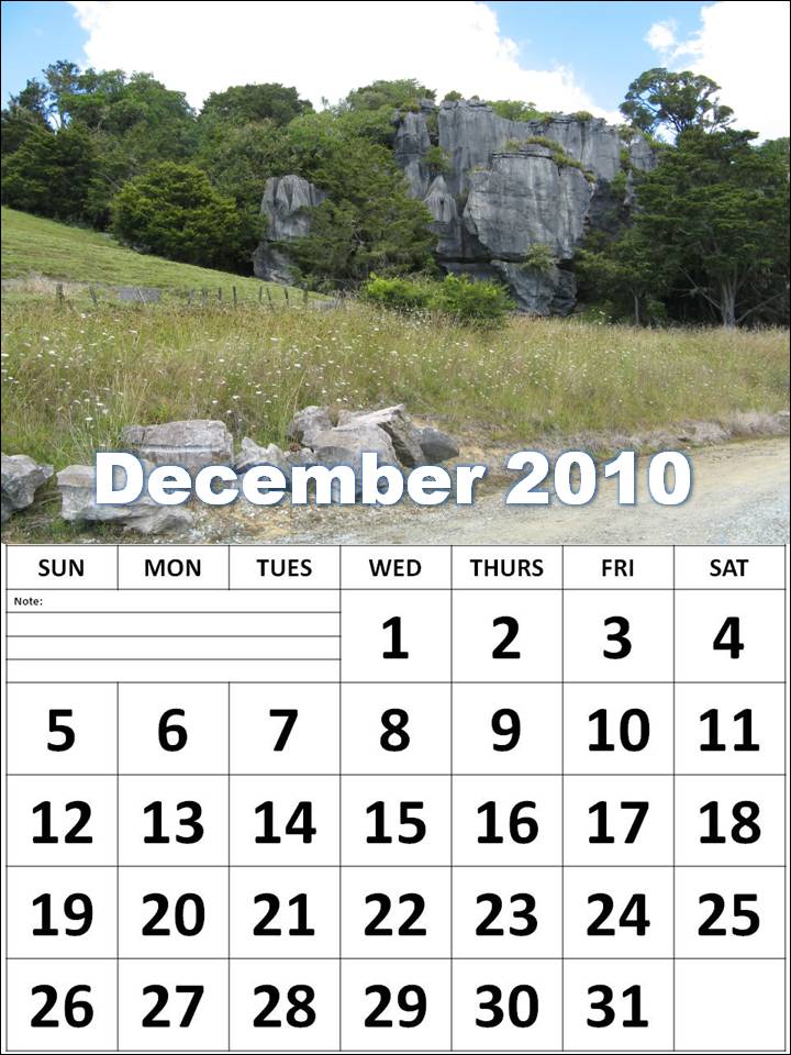 2010 monthly calendar template. 2010 monthly calendar template