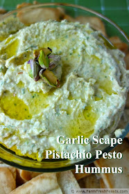 Garlic Scape Pistachio Pesto Hummus | Farm Fresh Feasts http://www.farmfreshfeasts.com/2014/05/garlic-scape-pistachio-pesto-hummus.html Garlic scapes, basil, parsley and pistachios combined in a traditional hummus base for a fresh Spring dip. Freeze the pesto to make this year round!