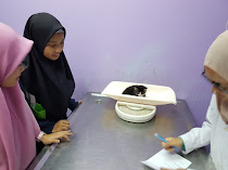 Penjelajahan Kerjaya Doktor Veterinar