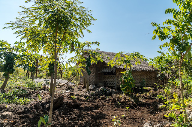 Htut Eain Cave - Région lac Inle - Myanmar Birmanie