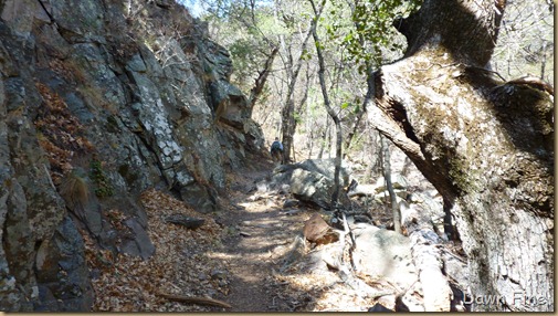 South rim hike,Big bend_024