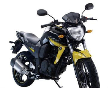 2010 Yamaha FZ-S India