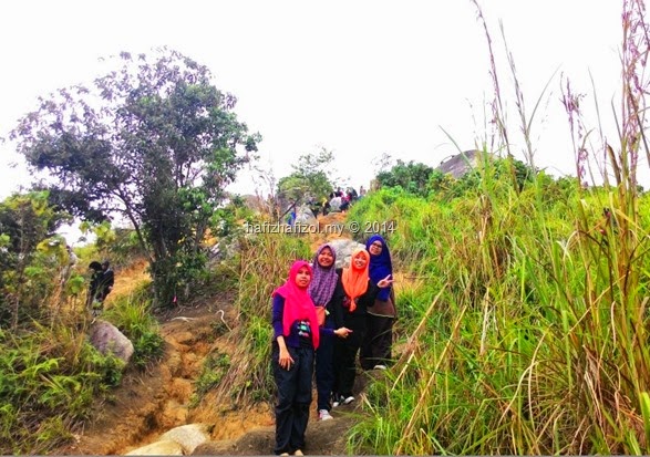 mendaki broga hill