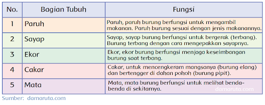 Rumah Edo banyak ditumbuhi beraneka ragam pohon. Banyak serangga dan burung yang berdatangan. Hari ini Edo menuju halaman untuk mengamati burung. Suatu hari, ketika Edo sedang asyik melihat burung-burung tersebut, tiba-tiba Edo dikagetkan oleh suara seekor burung yang terjatuh tidak jauh dari pohon. Edo menghampirinya. Ternyata burung itu adalah burung merpati yang mengalami luka pada sayapnya. Edo menduga burung merpati itu terkena tembakan pemburu. Edo merawatnya dengan kasih sayang.