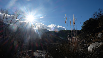 Encinar, Abrucena