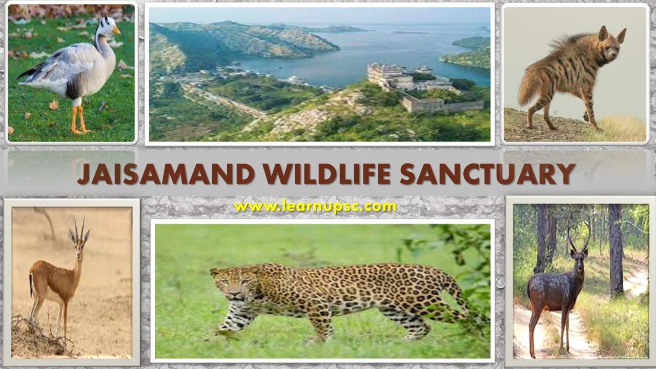 Jaisamand Wildlife Sanctuary