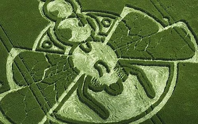 crop circle pictures