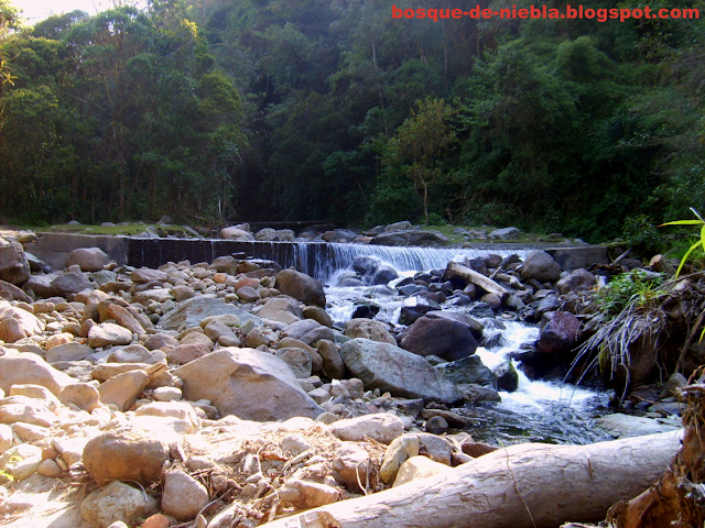 paramillo del quindio