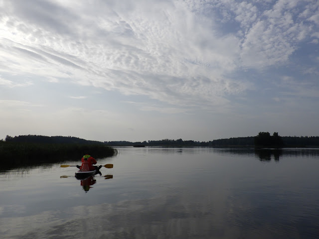 SUP-lautailija tyynessä jokisuistossa