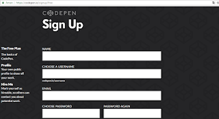 sign up codepen