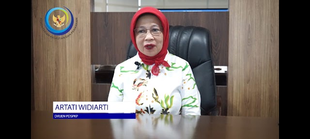 KKP Dorong UMKM Go Digital, Go Global