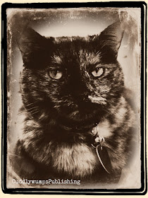 Paisley (tortoiseshell cat) in daguerreotype-style photo.