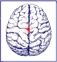 Self Assessment Test to evaluate brain usage