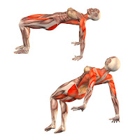 http://easy-healthcare.blogspot.com/2016/02/upward-table-pose.html