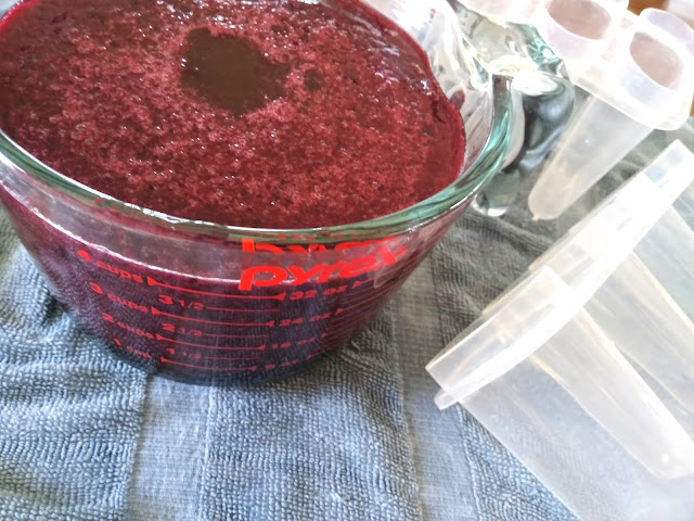 Blueberry Lemonade Popsicles sieved mixture next to empty plastic popsicle molds