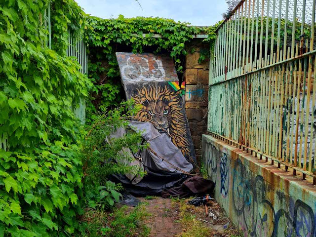 Inside the lion cage at Cape Town’s abandoned Groote Schuur Zoo
