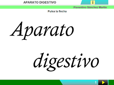 http://cplosangeles.juntaextremadura.net/web/edilim/curso_2/cmedio/alimentacion02/digestivo02/digestivo02.html