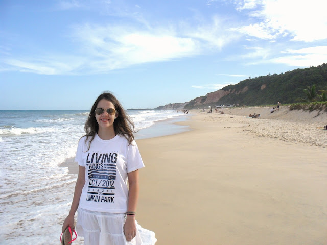 Beach look at Taipe beach-Trancoso/Bahia-Brazil.