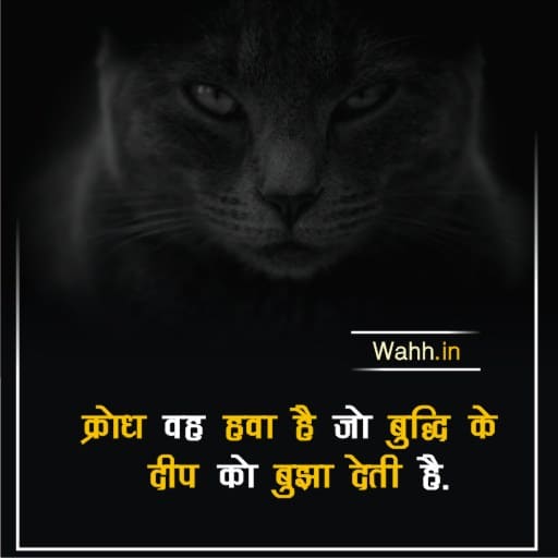 Angry Hindi Thoughts