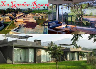 Tea Garden Resort