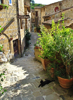 Wine bar in the village of Sorano, Grossetto Province, Tuscany, Italy