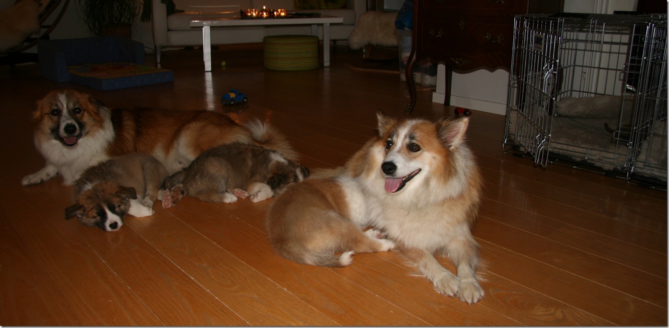 20101114_7926