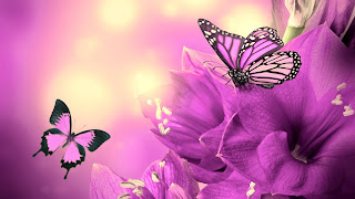 Wallpapers with Butterflies