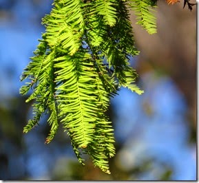 IMG_2060