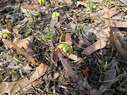 IMG_9806 IMG_9806