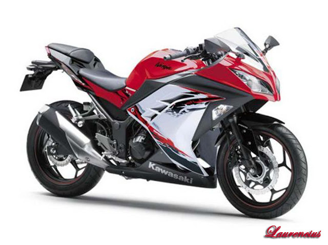 Tampilan-Kawasaki-Ninja-300_4