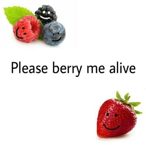 Berry Meme