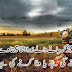 Sad Urdu Poetry Wallpaper Sad Poetry In Urdu About Love 2 Line About Life By Wasi Shah By Faraz Allama Iqbal Photos Images Wallpapers  