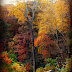 North Carolina Mountains Fall Beauty