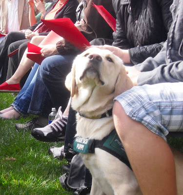 Reyna at graduation sitting between James legs with her held held very high as she is looking at the camera.