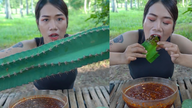 Mukbang Pedro cactus with chili sauce is delicious taste do not injure her mouth
