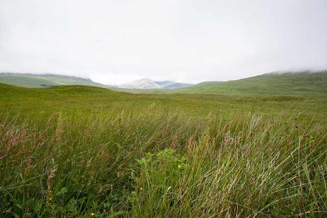 Glencoe