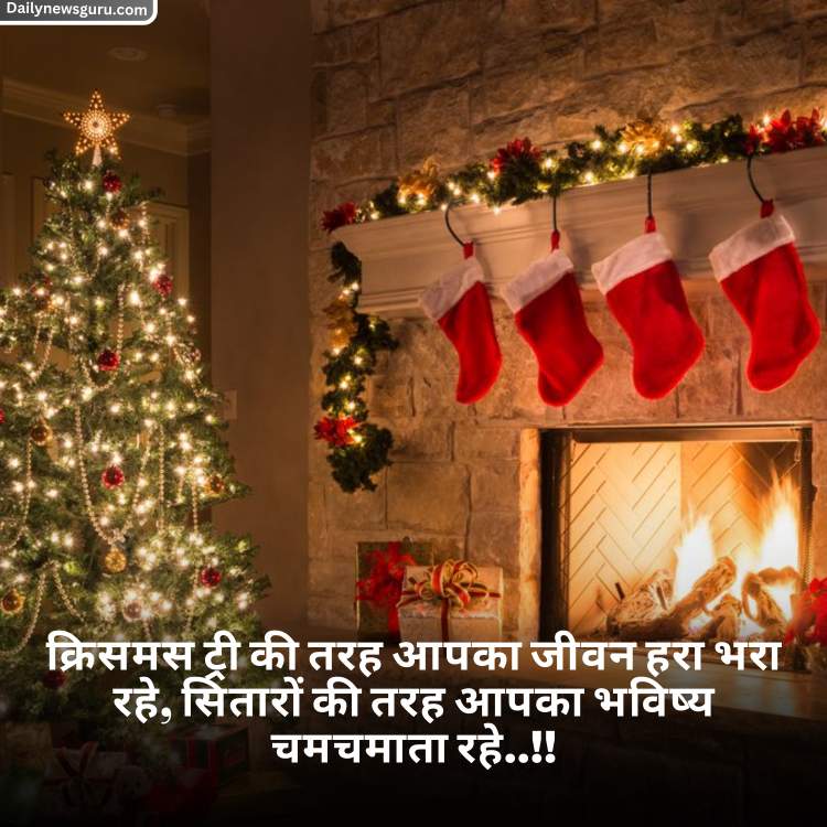 Merry%20Christmas%20Wishes%202024%20in%20Hindi%20(5)