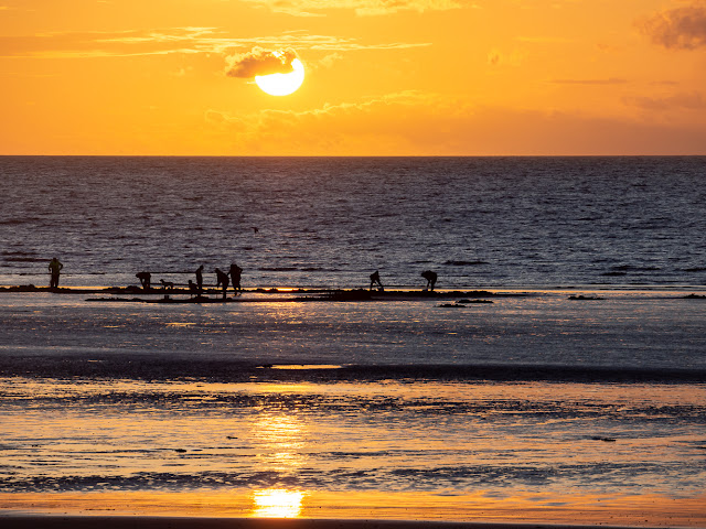 Photo of bait diggers on the shore at Maryport at sunset