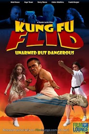 Kung Fu Flid (2009)