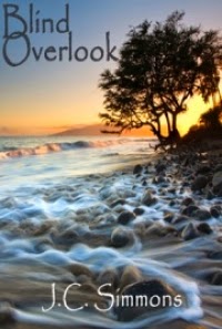 Blind Overlook Cover