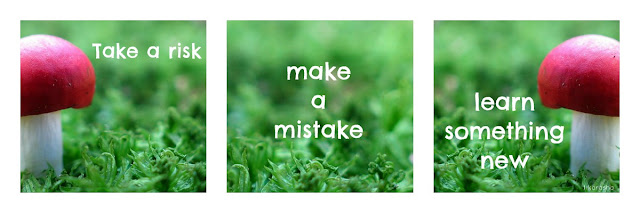 take a risk make a mistake learn something new