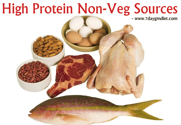 diet plan for weight loss veg and protein