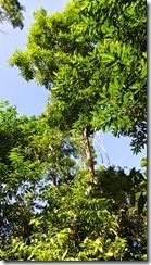 20140622_070445