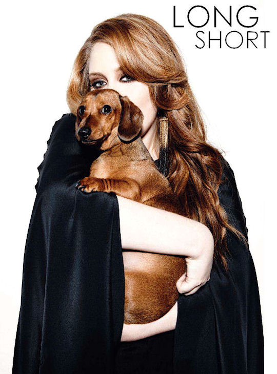 ... Dog News Magazine: Dachshund Lover Adele's New Album '21' Out...