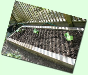 NewPlanterBox
