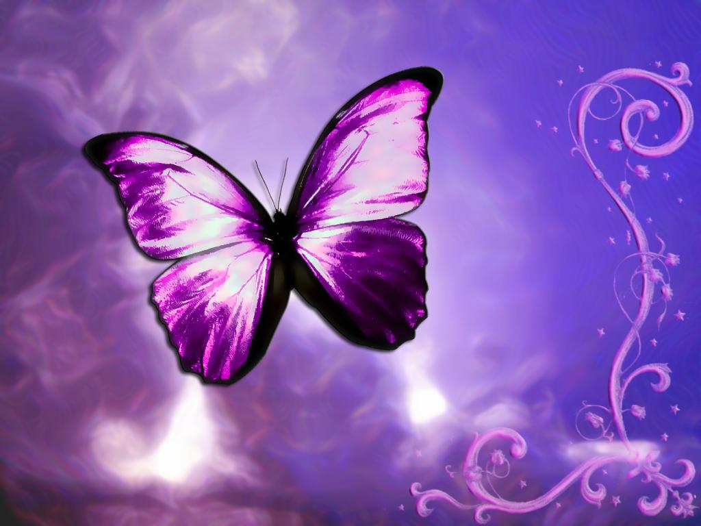 purplefantasybutterflypostcardhdwallpaper