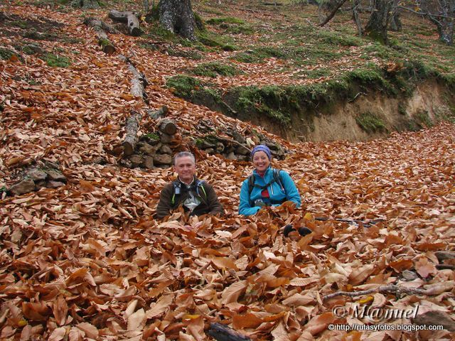 Castañares de Pujerra e Igualeja