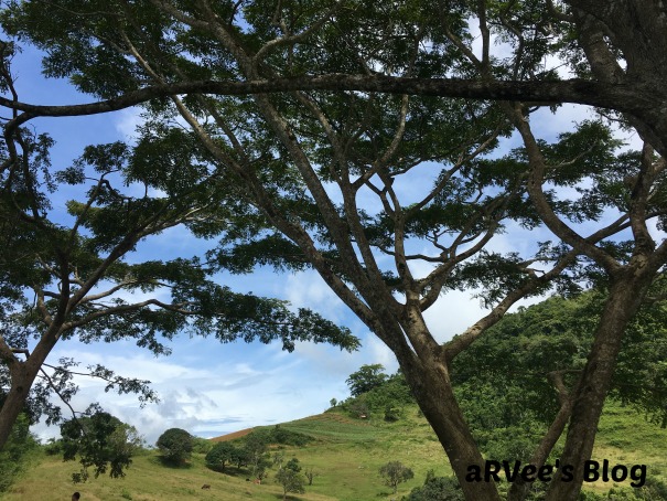 The cool breeze at Sirao Mountain in Sirao Cebu City Cebu Philippines