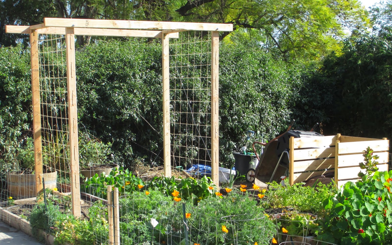 Andie's Way: Trellis Ideas for Tomatoes, Cucumbers, Beans, Peas, Melons